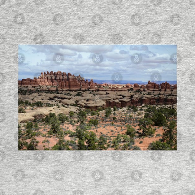 The Needles at Canyonlands, Another World by elisewied